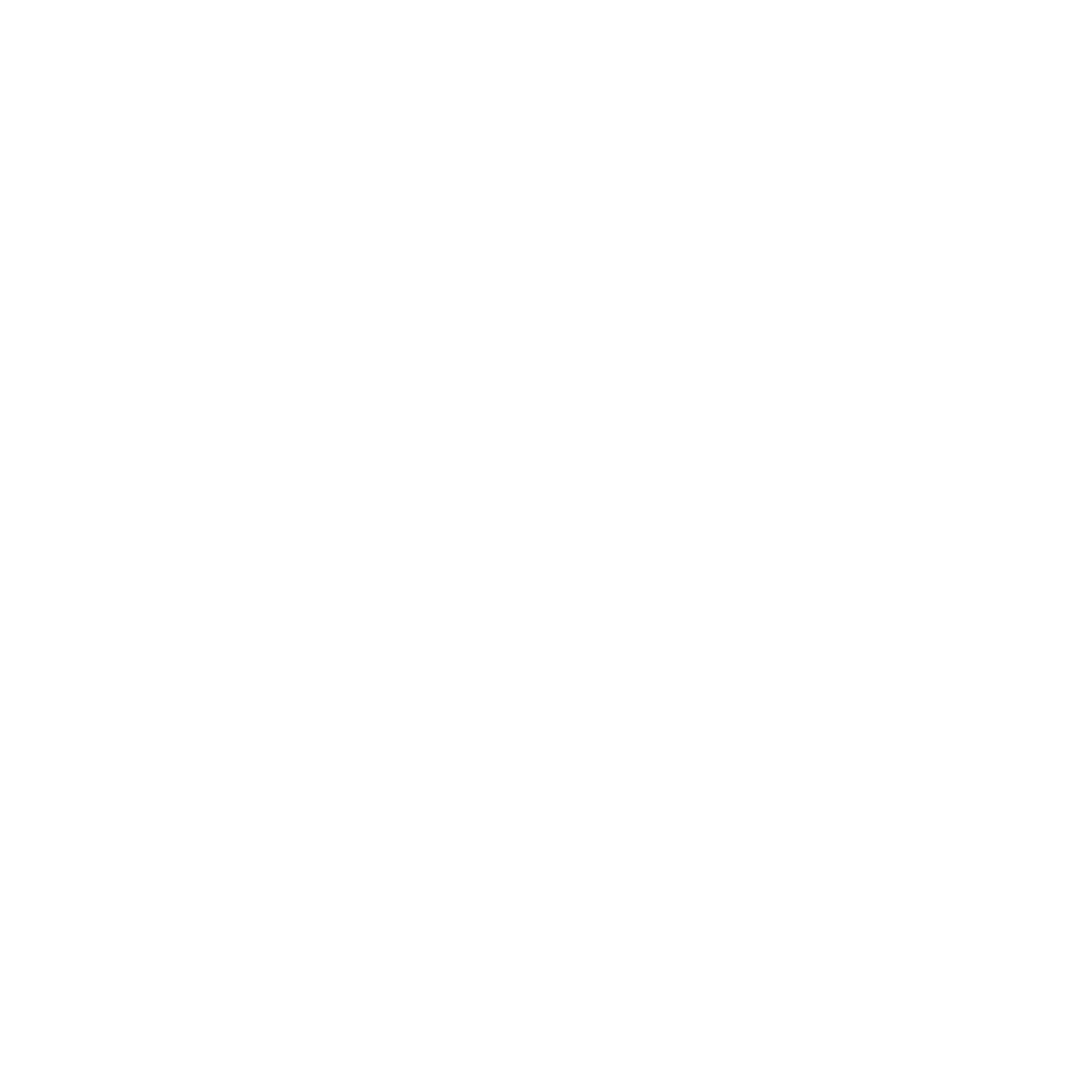 Alessandro Negrini